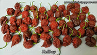 Hellboy - Pepper Seeds - White Hot Peppers
